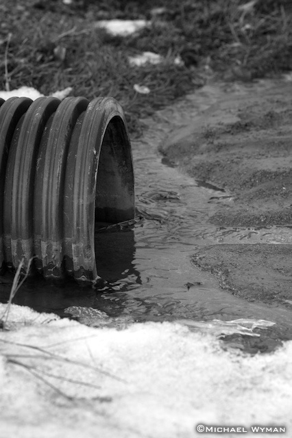 Spring Thaw