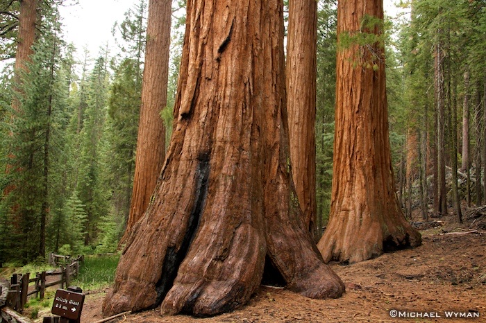 At the Feet of Giants