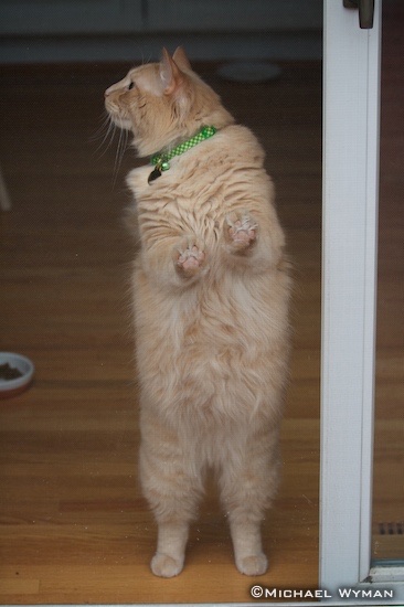 Waiting Patiently