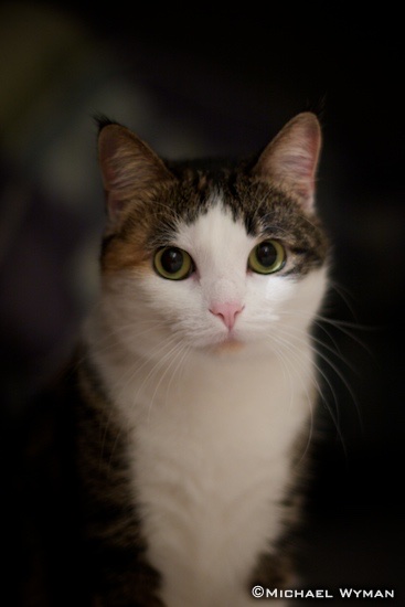 Maisy, a Portrait