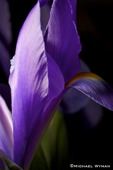 Inside Glance