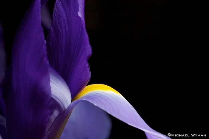 Temple of Iris