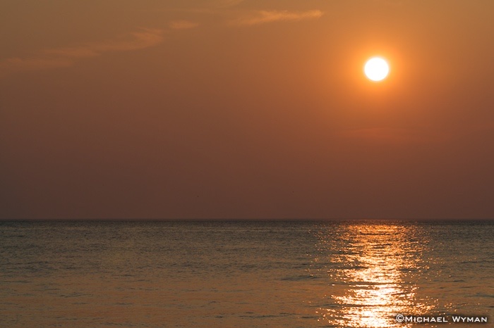 Golden Sunset