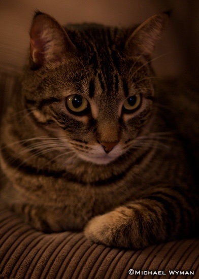 Milo