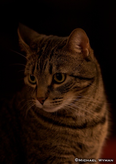 Milo