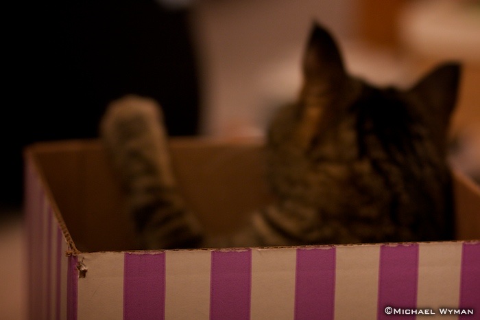 Box Blur