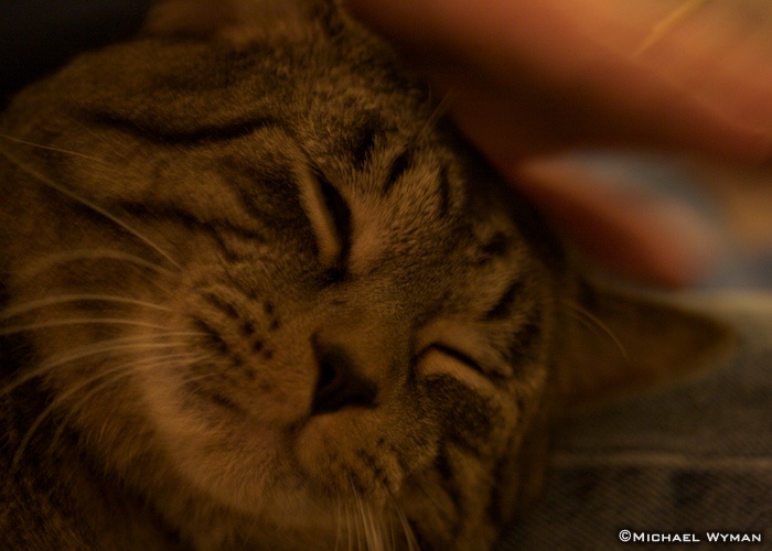 Simple Comforts