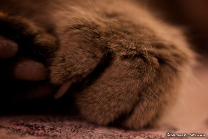 Kneading