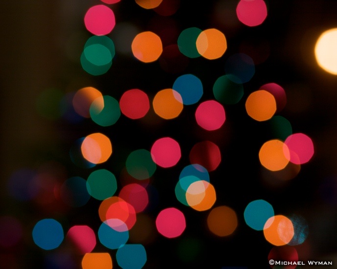 Holiday Lights