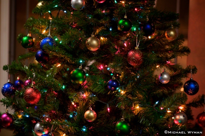 Oh Christmas Tree