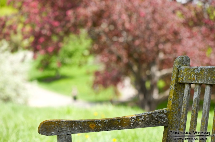 Resting Place