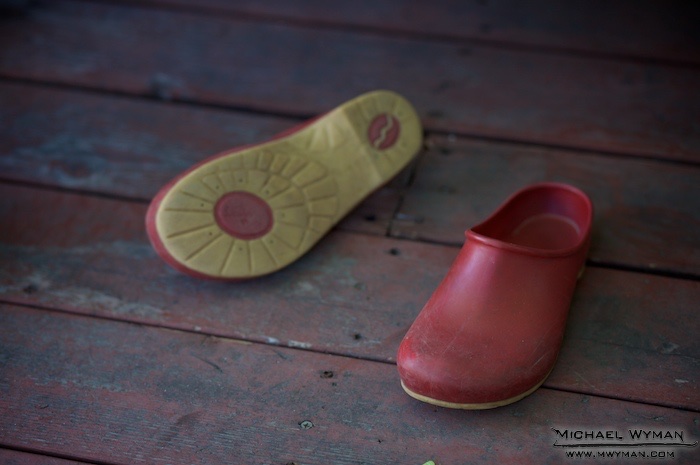 Clown Shoes