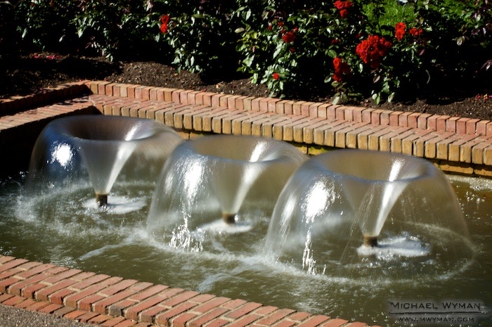 Rose Garden Fountain