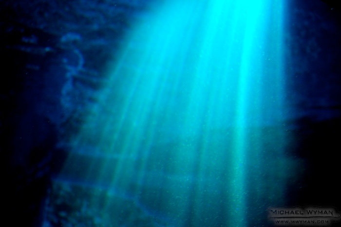 Acquarium Light