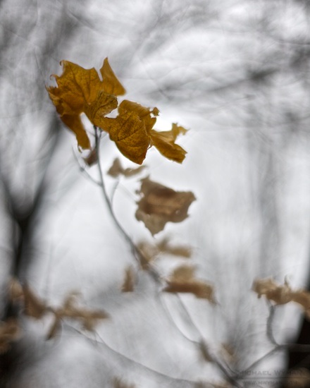 Long Winter