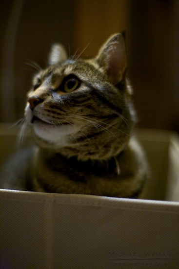 Milo