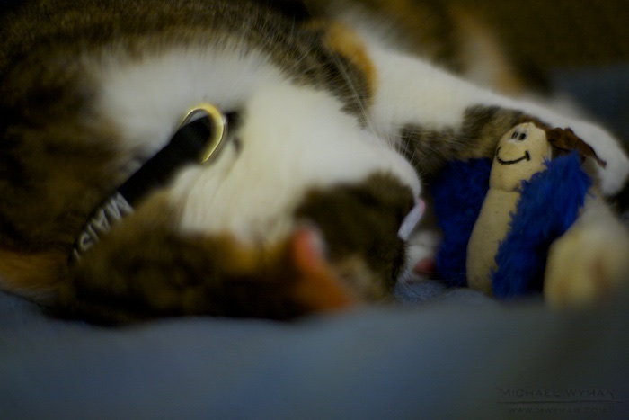 Pillow Talk