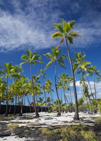 Pu'uhonua o Honaunau