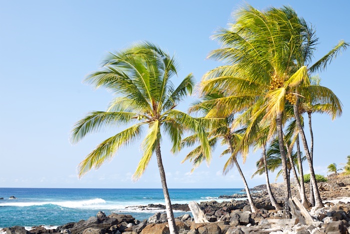 Lapakahi Beach