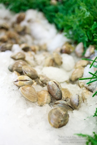 Assorted Shellfish at Pike Place Market