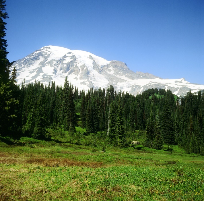 Mt. Rainier