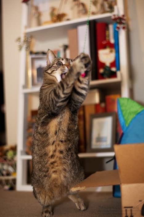 I Got It, I Got It!