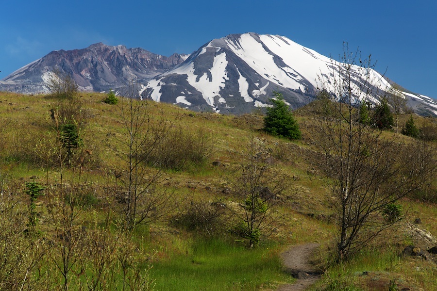 Volano and Hummocks